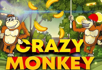 Crazy Monkey